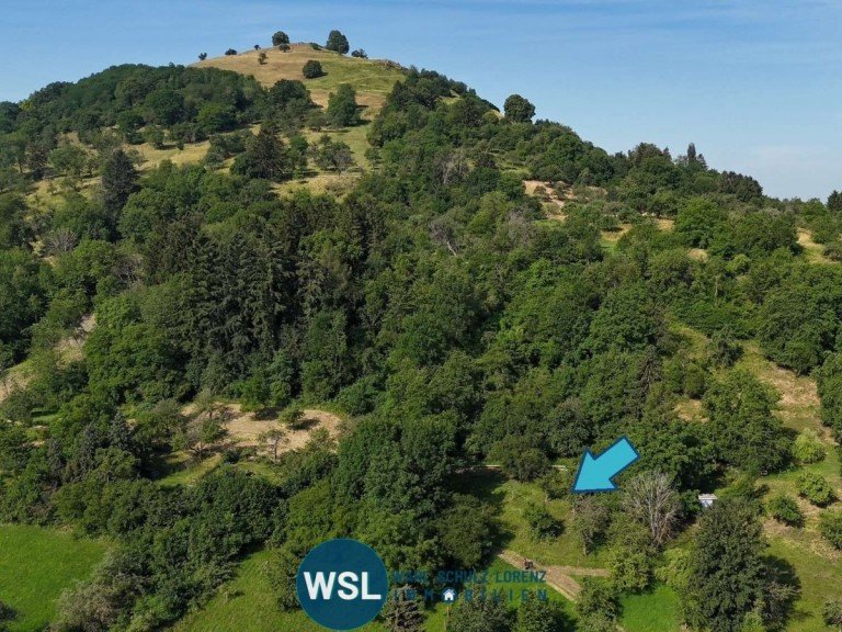 Limburgblick Weilheim Freizeitgrundst�ck Natur genie�en statt Alltagstress - idyllisches Wiesengrundst�ck mit Baumbestand bei Weilheim-Teck